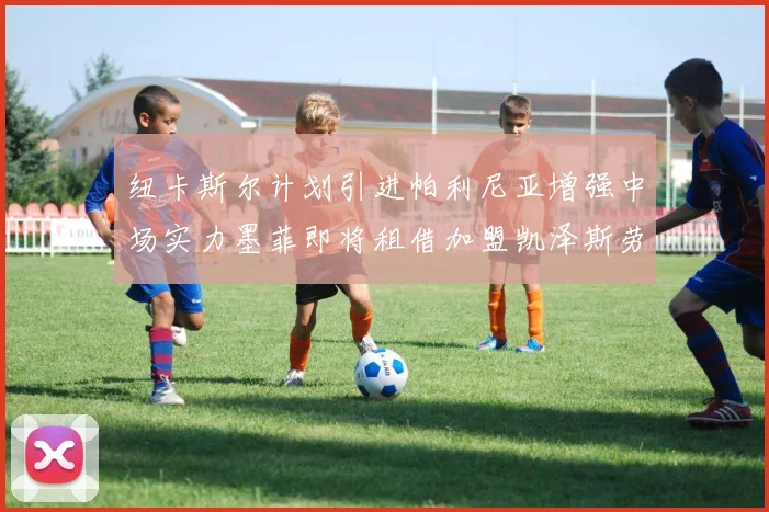 纽卡斯尔计划引进帕利尼亚增强中场实力墨菲即将租借加盟凯泽斯劳滕