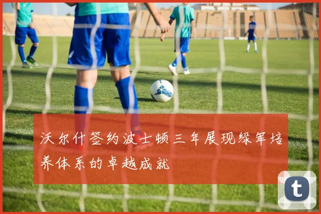 沃尔什签约波士顿三年展现绿军培养体系的卓越成就