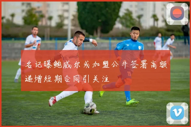 名记曝鲍威尔或加盟公牛签署高额递增短期合同引关注